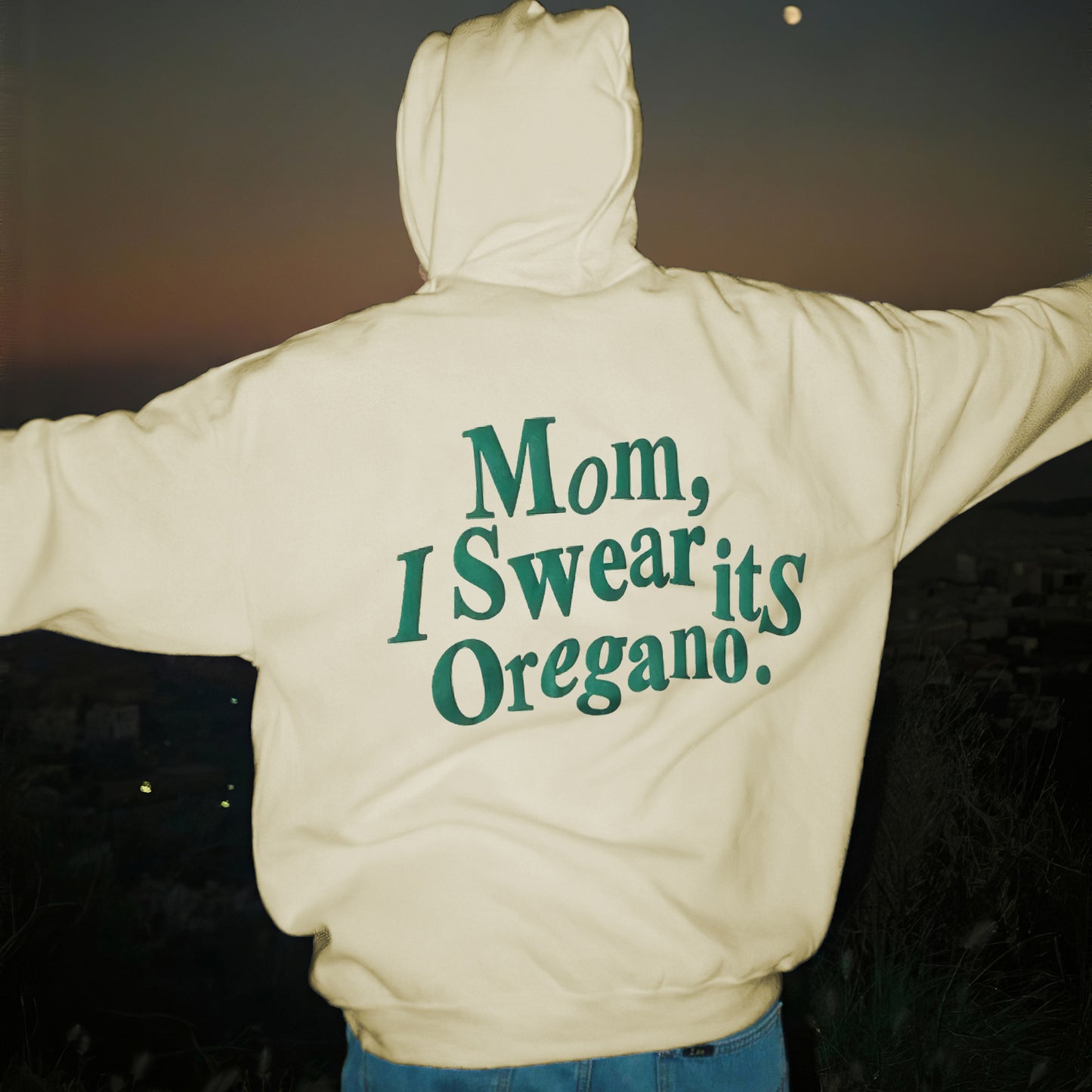 Hoodie Brushed Letter Print